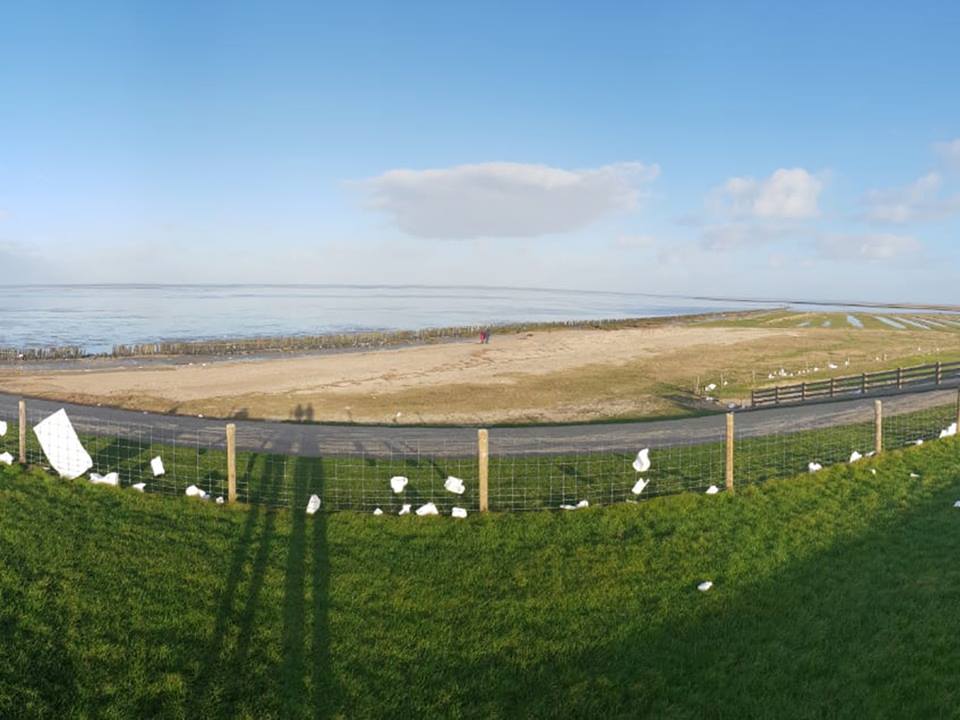 Zeehondencentrum start opruimactie Waddenkust