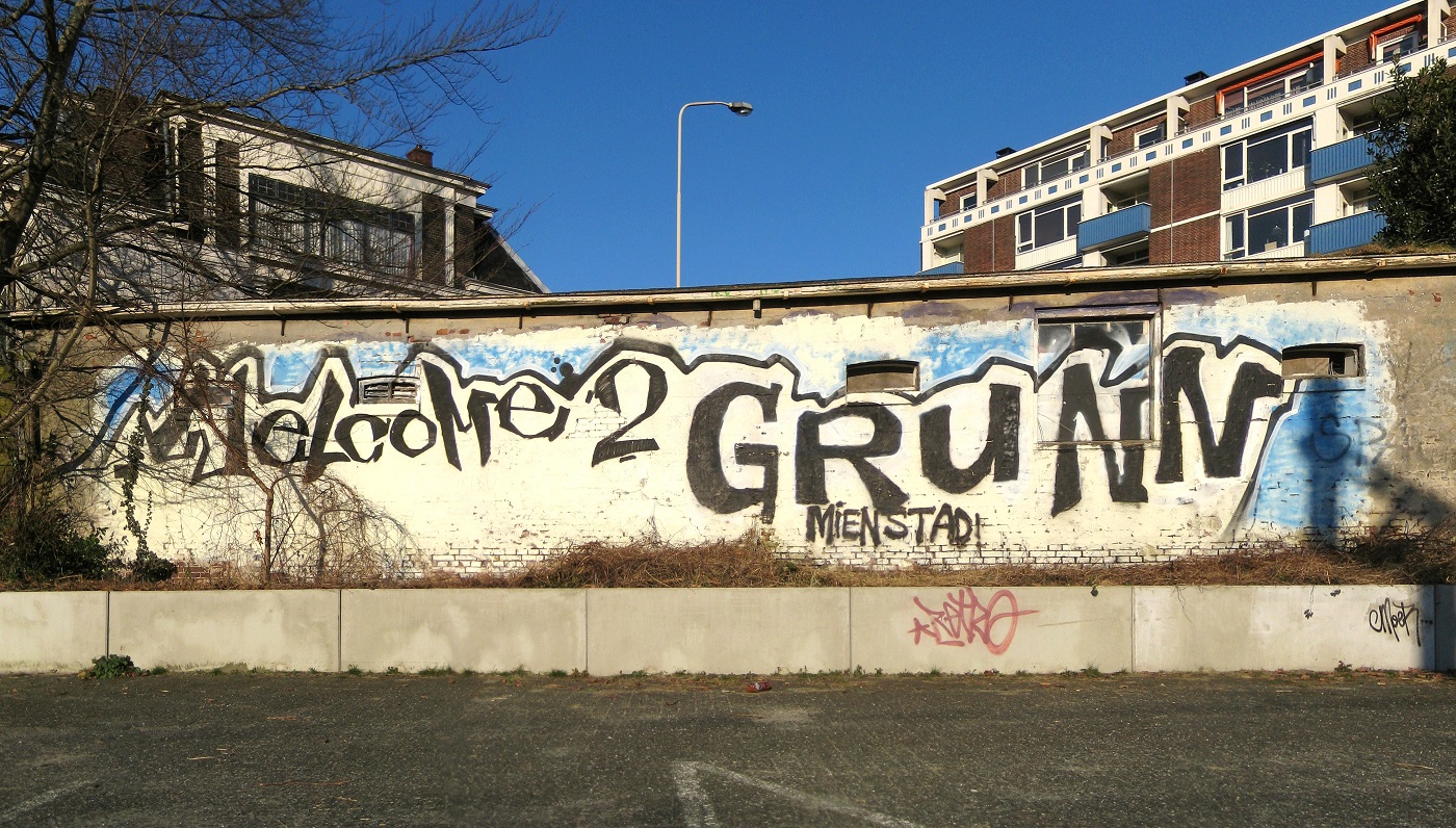 Internationale studenten leren Grunnegs tijdens Groninger Night in Club Kiwi