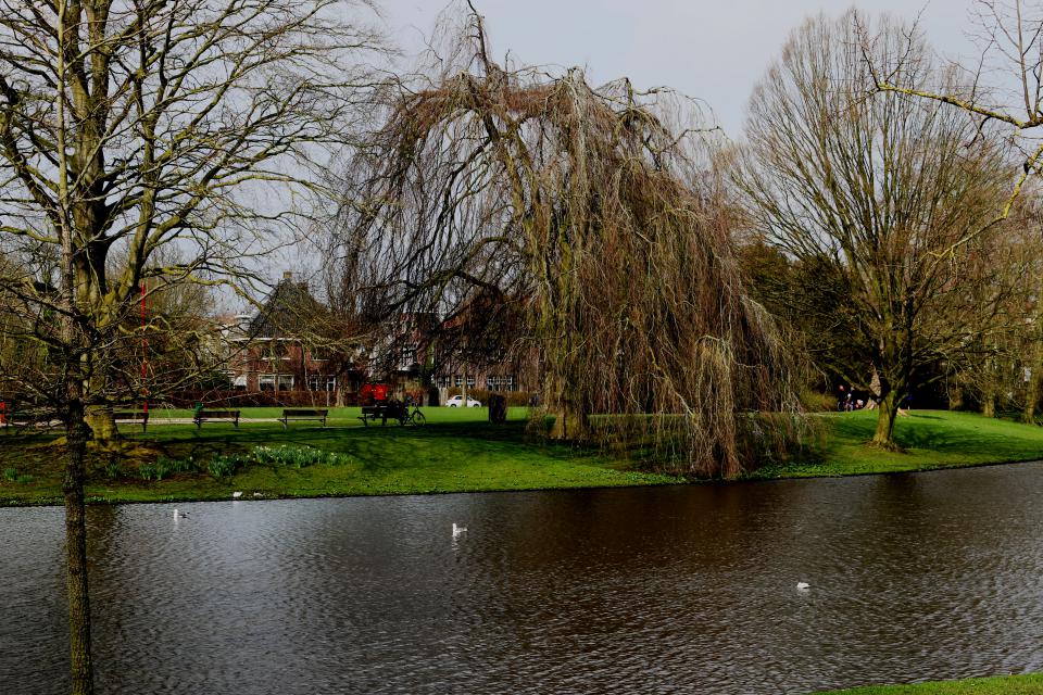 Vijvers Noorderplantsoen worden weer uitgebaggerd