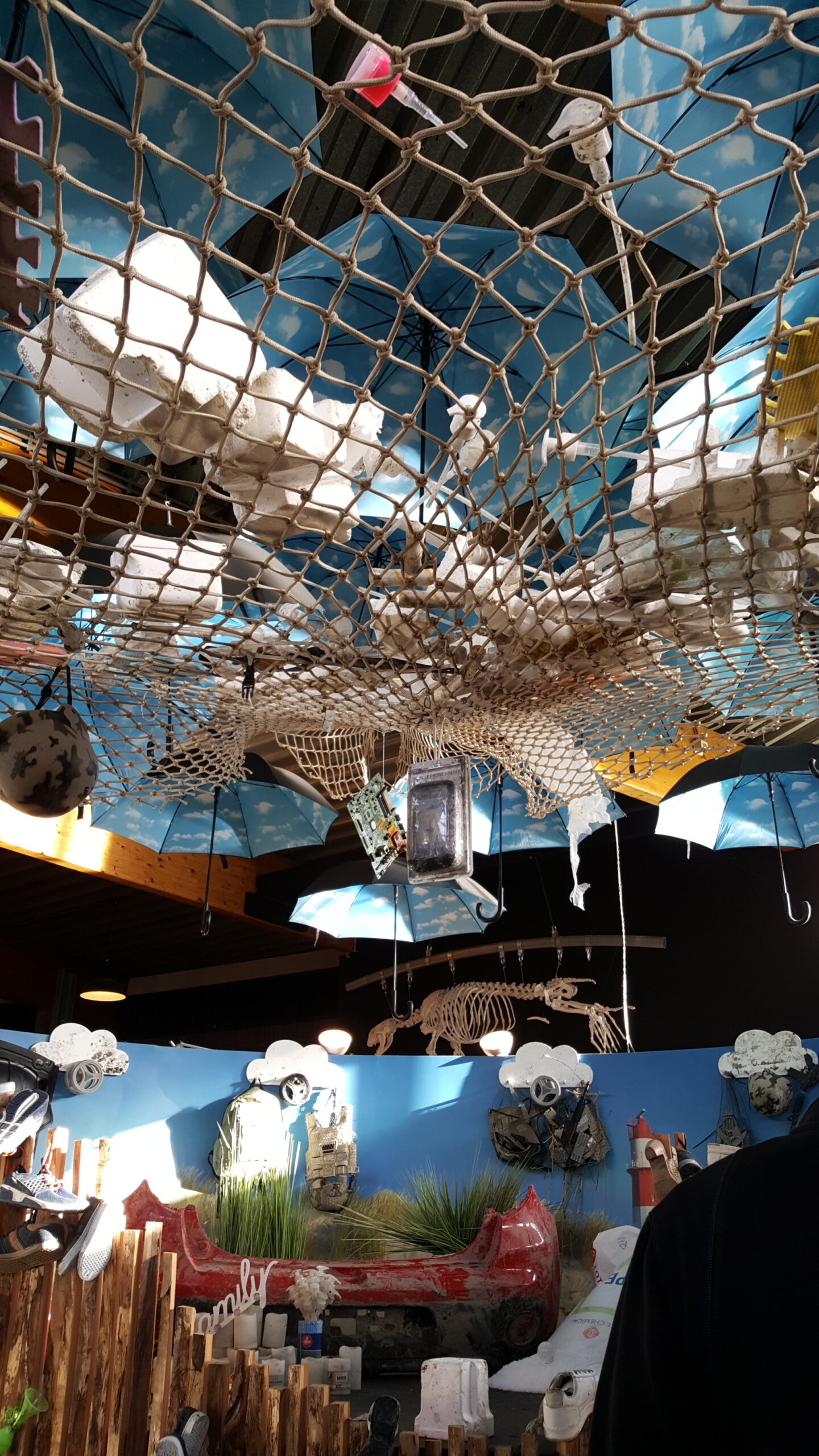 Sneak peak van de expositie in het Zeehondencentrum Pieterburen