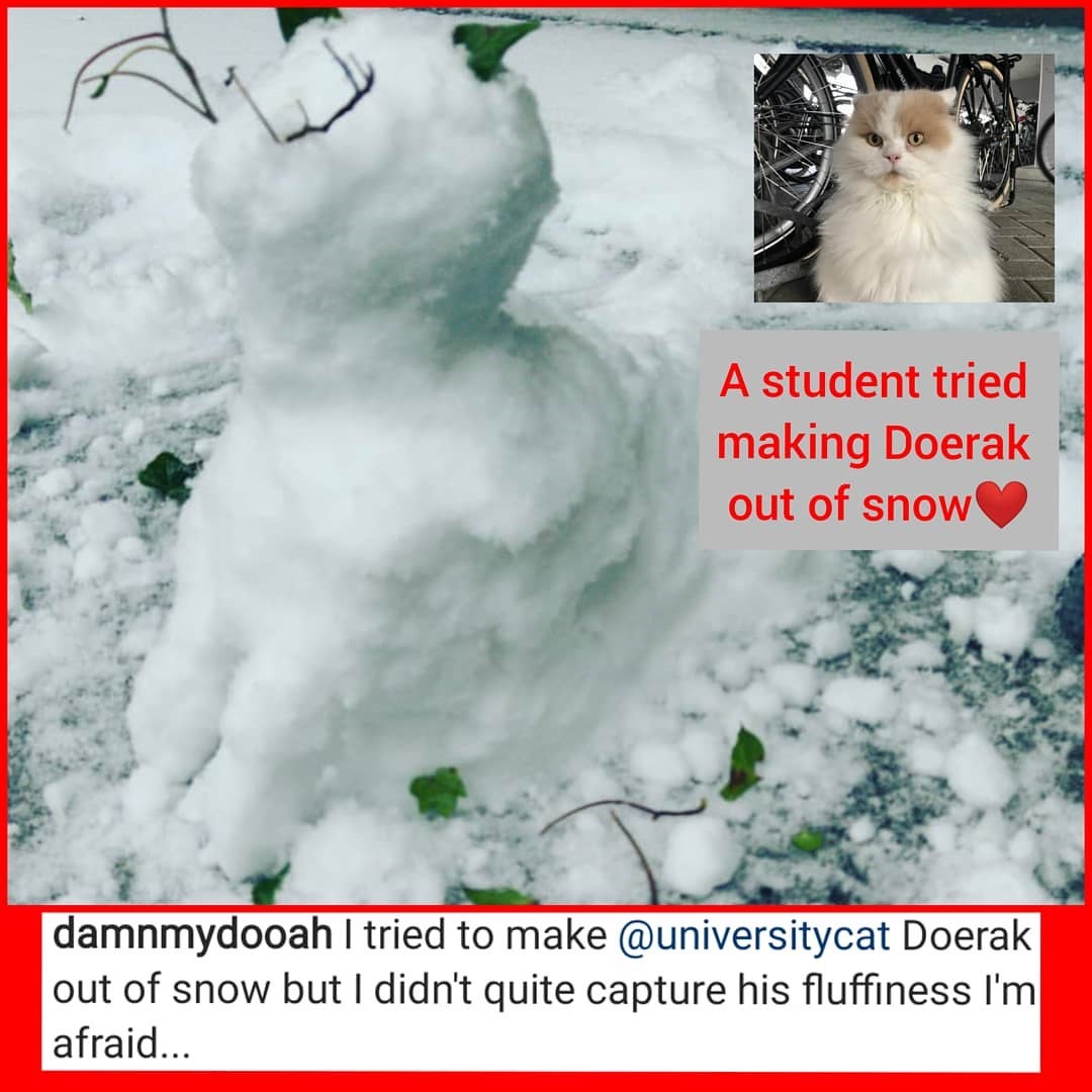 Kat Doerak - mascotte Groningse studenten  - nu ook als sneeuwpop