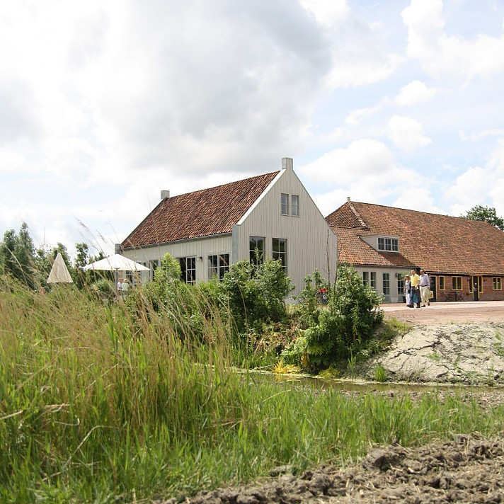 Rietland in Zuidwolde