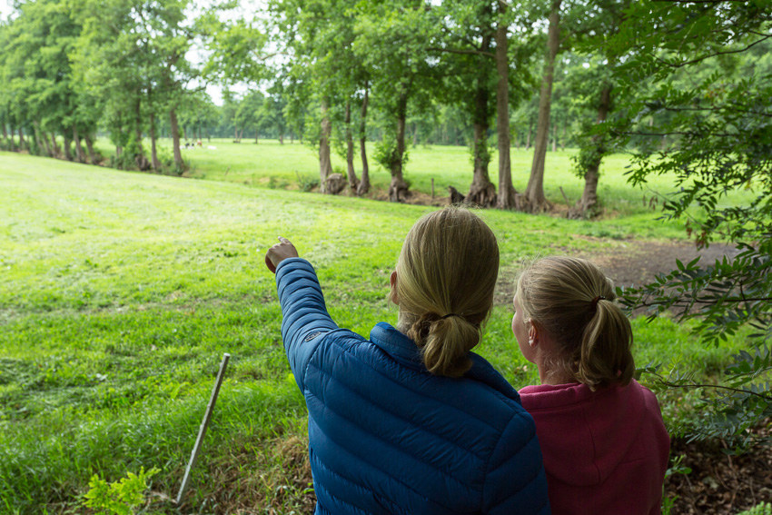 Het Groninger Landschap organiseert lentewandeling in Coendersbos