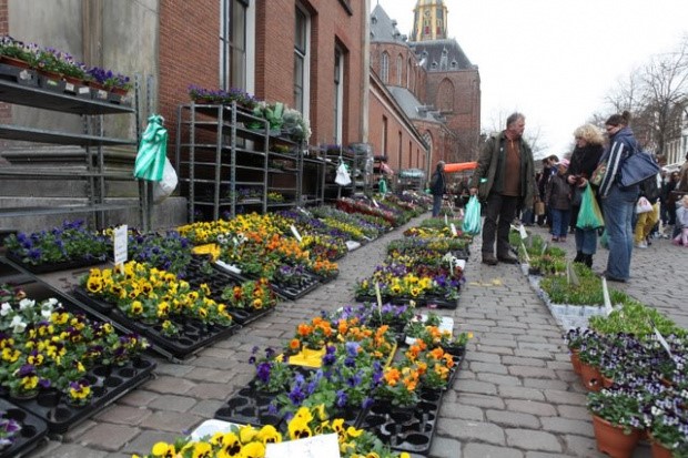 Bloemenjaarmarkt: Lente barst vrijdag los in Groningen