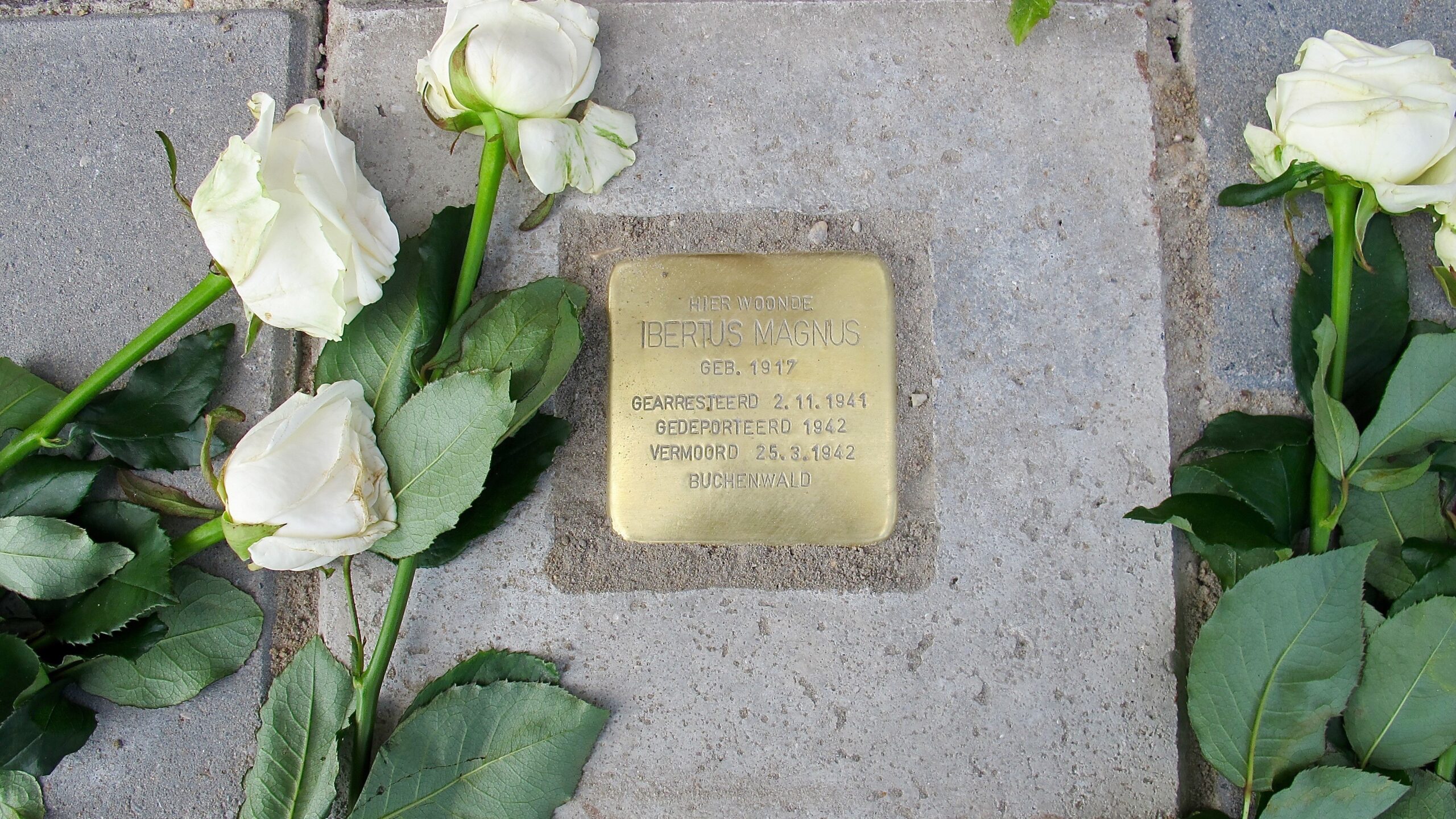 Plaatsing ‘Stolpersteine’ in Groningen op schema; donderdag komen er 39 nieuwe bij