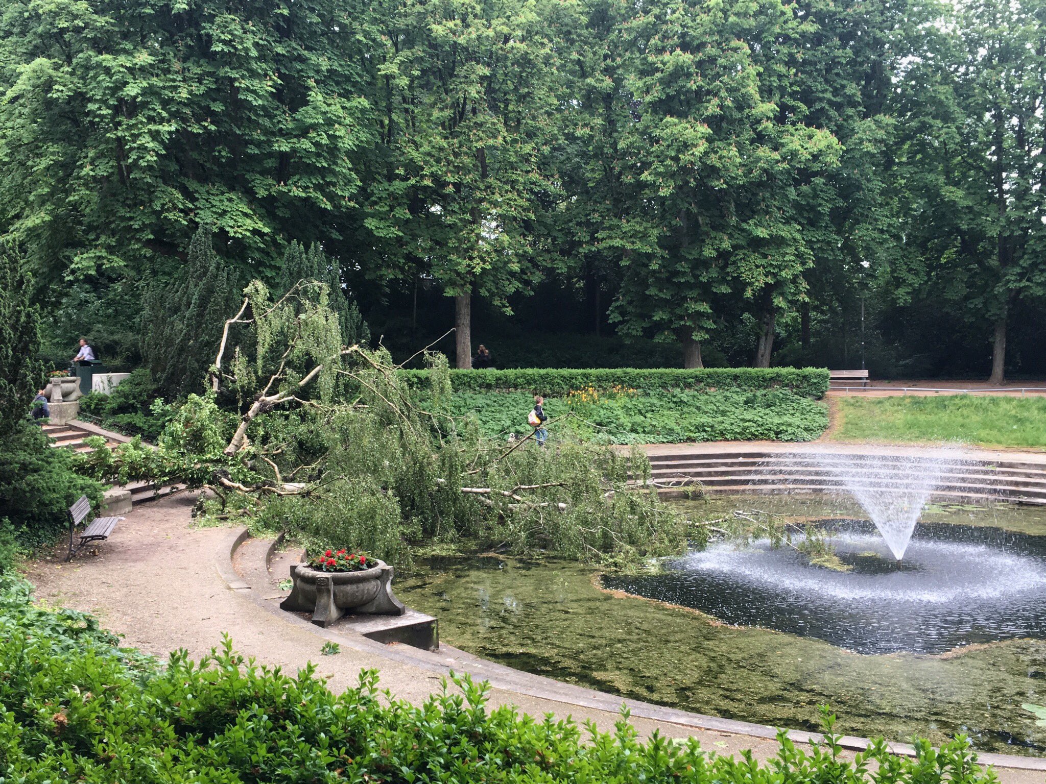 Brandweer: veel stormschade, vooral in het westen van provincie