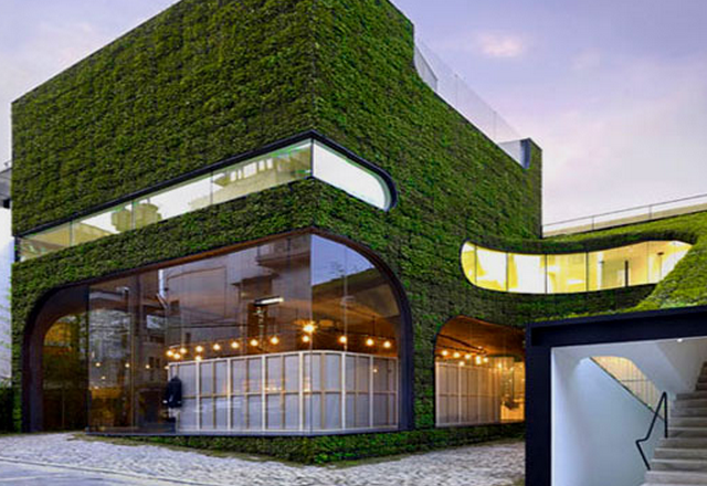 Een groen gebouw in Harvard