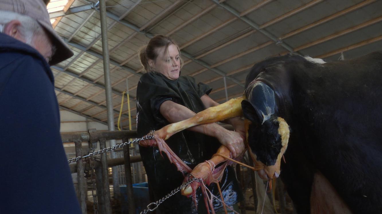 Veearts Maaike mét veearts Maaike in Groninger Forum