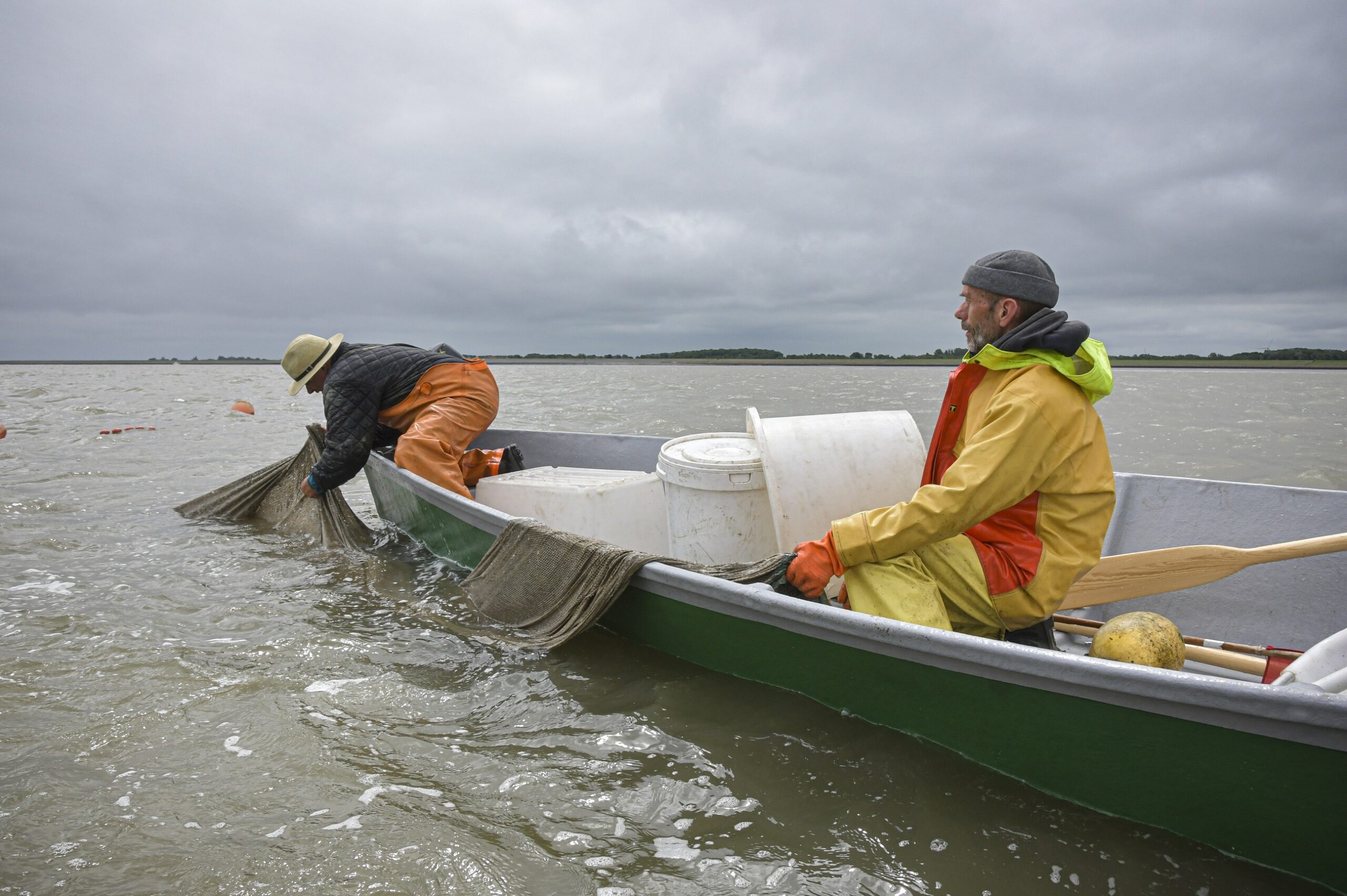 Visstand Eemsmond voor de kust van Groningen ‘dramatisch laag’