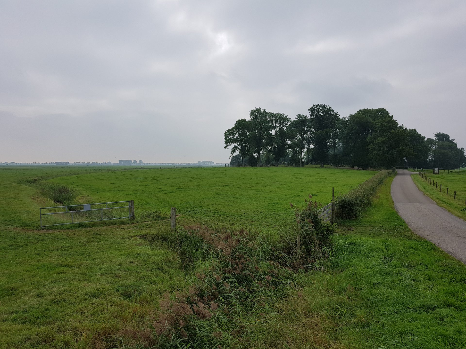 Groningen krijgt wierdebegraafplaats