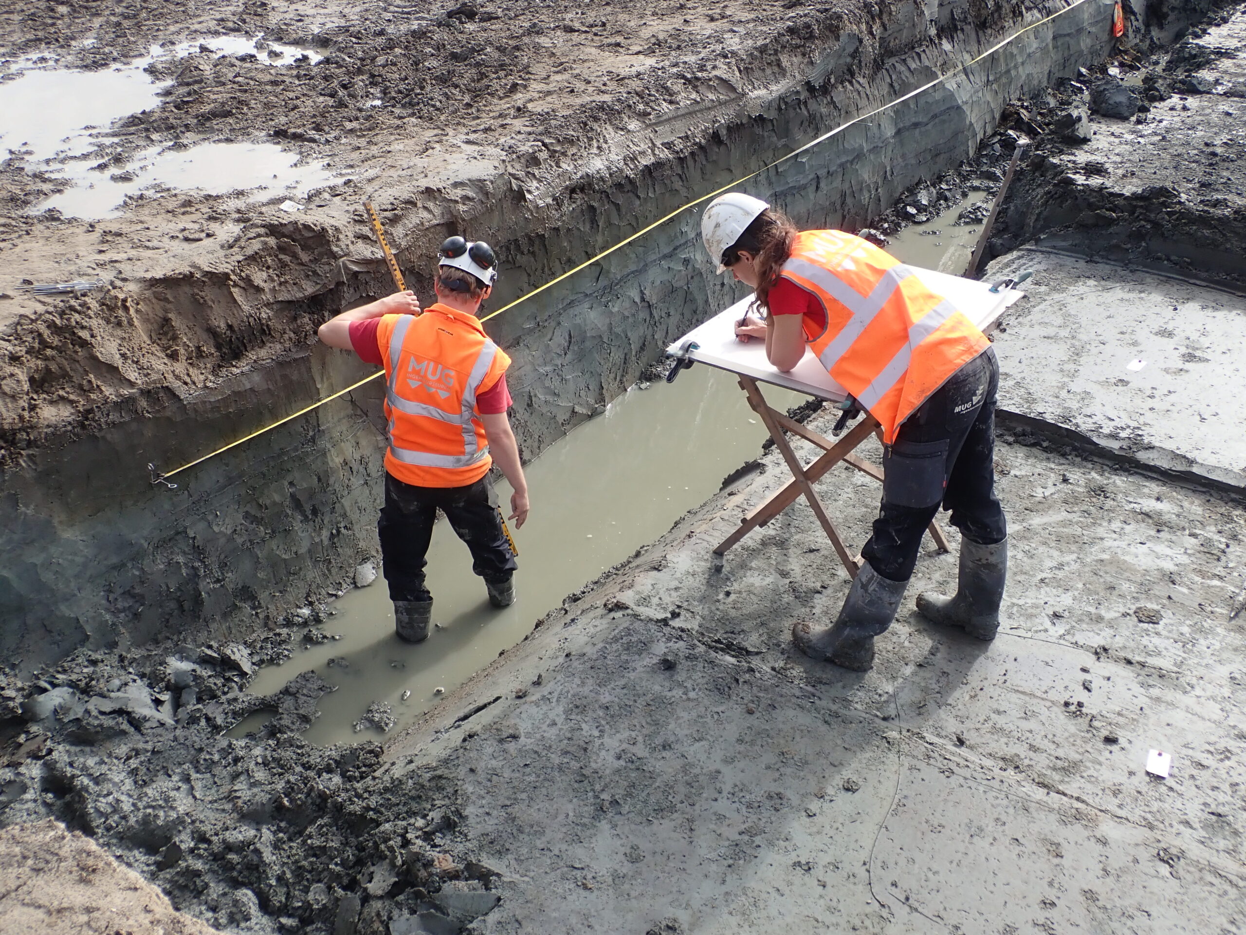 Resten  middeleeuwse huiswierde aangetroffen bij archeologisch onderzoek in Ten Boer