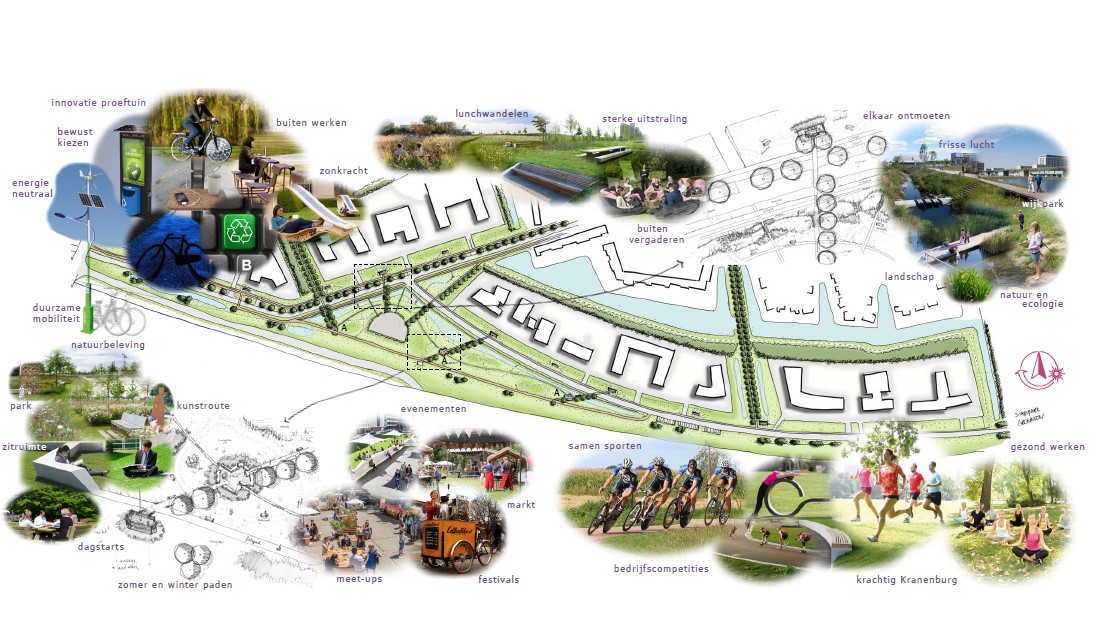 Kranenburgpark: nieuw park om uit te blazen voor bedrijven en bewoners van de wijk Buitenhof