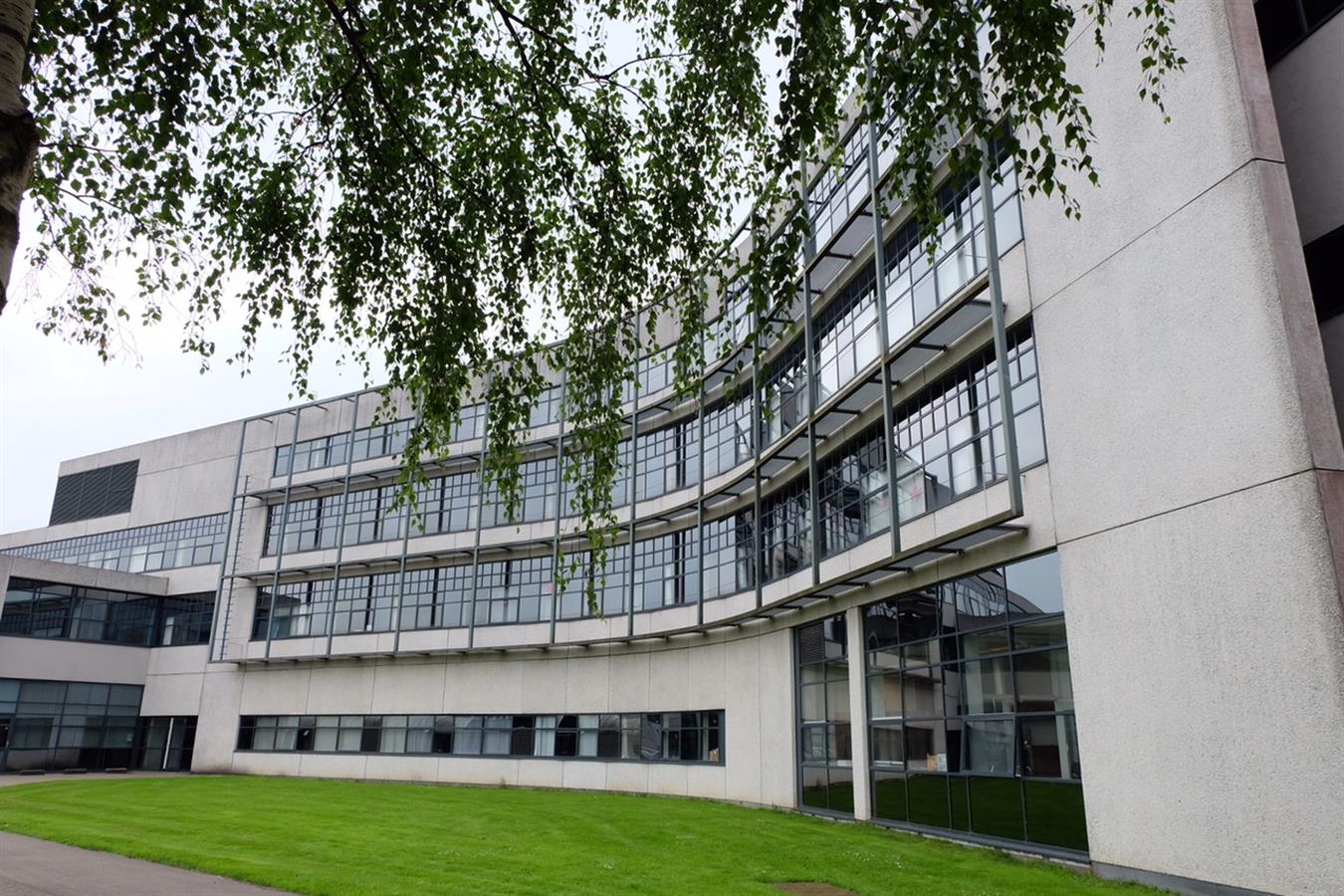 Commentaar: Sterke media van groot belang voor Groningen –  waakhonden moeten kunnen blaffen, niet keffen