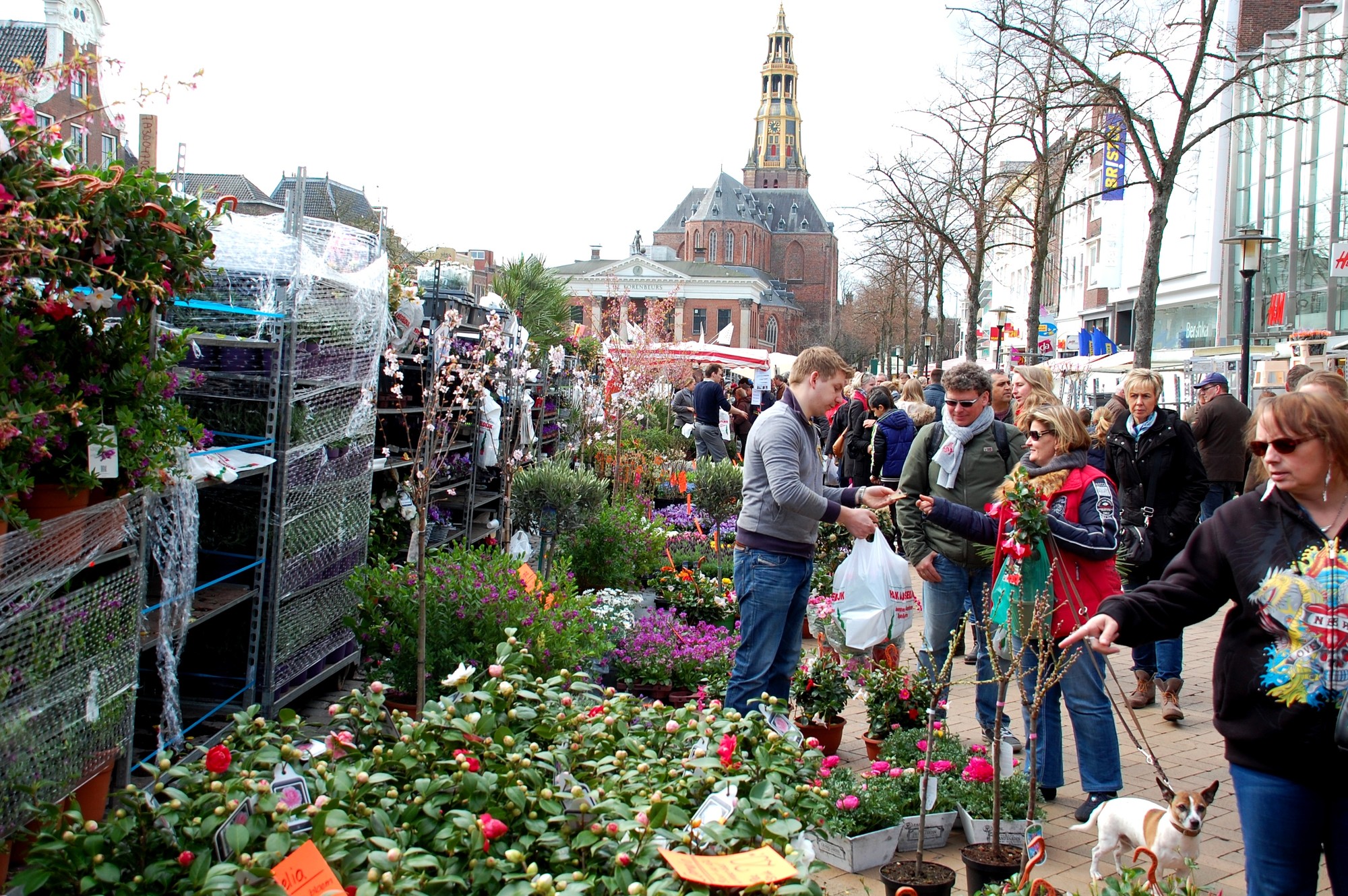 Bloemenjaarmarkt Groningen: reis met de fiets, het OV of via een P+R