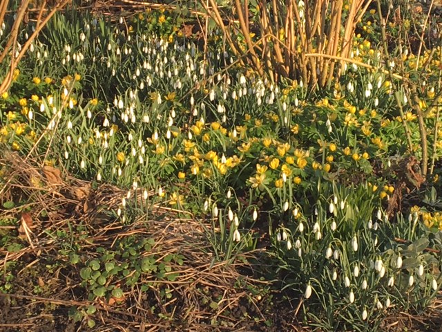 Zondag doet naam eer aan: zon, en recordtemperatuur van 18 graden verwacht
