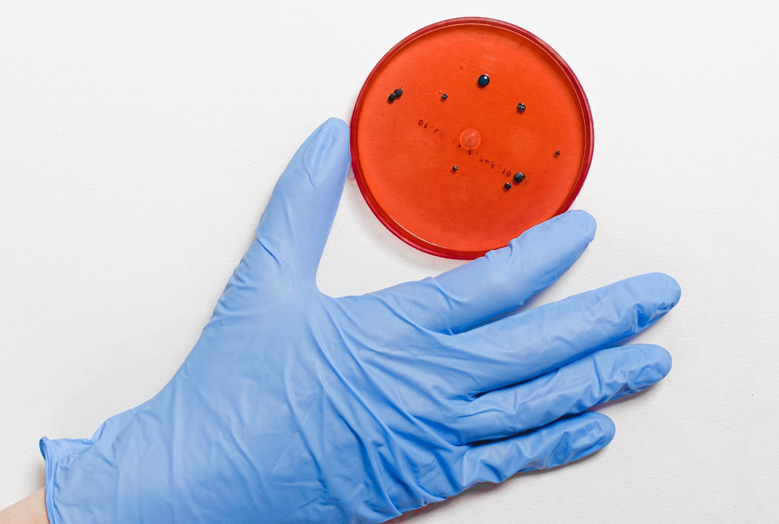 Coronavirus eist nieuw leven in provincie Groningen