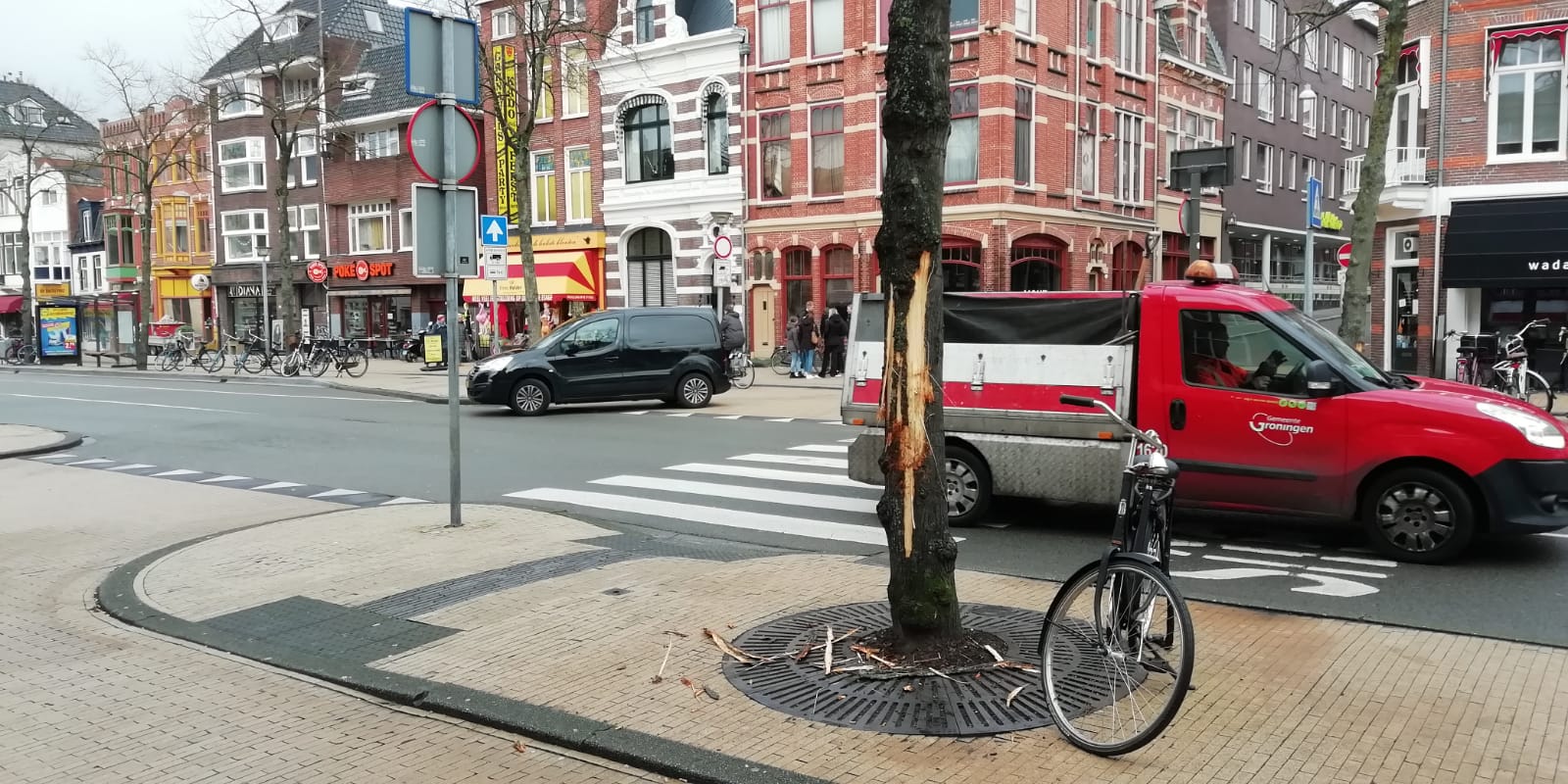 Hond die bomen vernielt op heterdaad betrapt