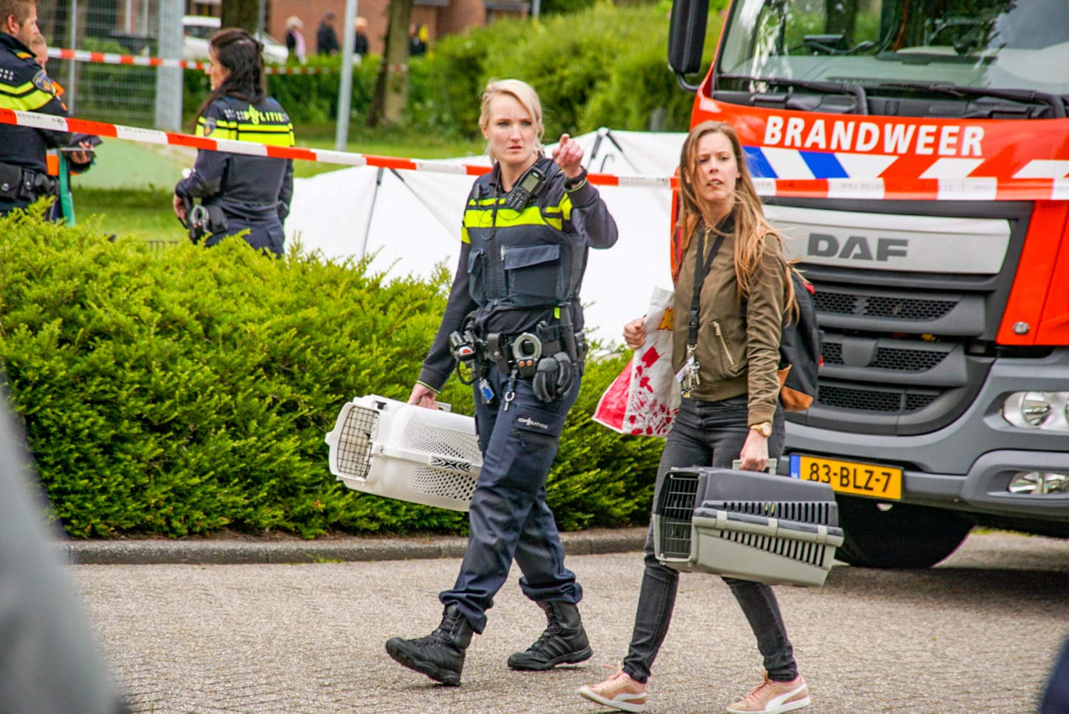 Huisdieren worden in veiligheid gebracht