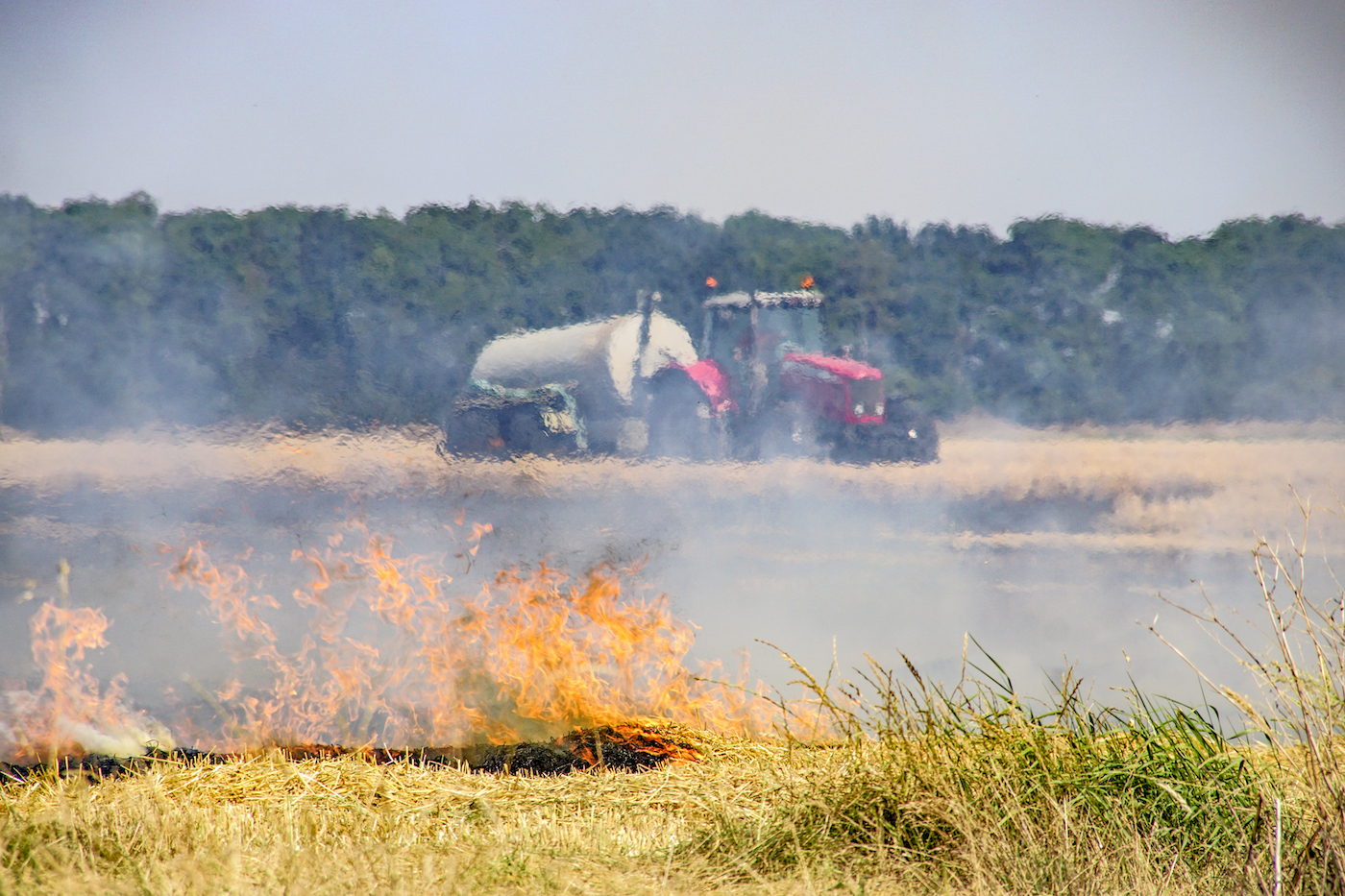 Natuurbrand bij Overschild in de kiem gesmoord
