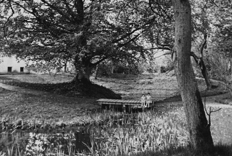 De beuk in 1957, gefotografeerd door de toenmalige dominee, met op de brug zijn dochters