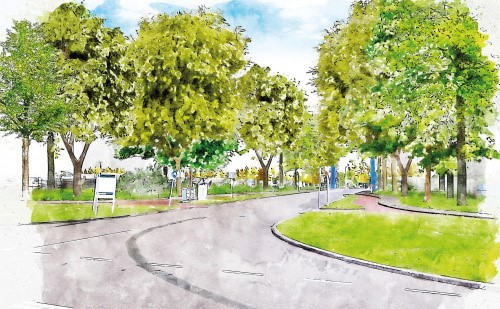 Tachtig nieuwe bomen en 180 struiken vervangen 46 populieren bij Antwerpenweg en Gideonweg