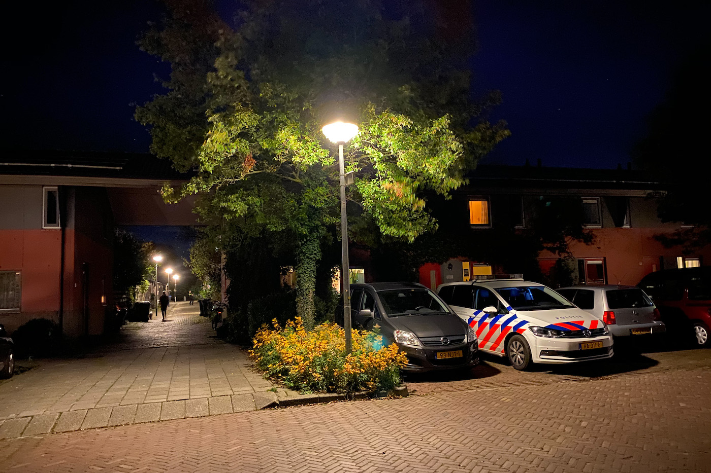 Groepje van zes jongeren pleegt straatroof in Lewenborg