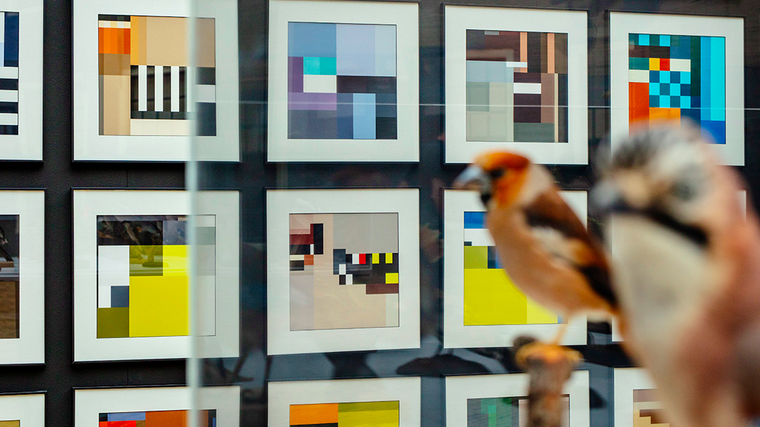 Studio 212 Fahrenheit gooit wereldwijd hoge ogen met BLOCBIRDS en Benched