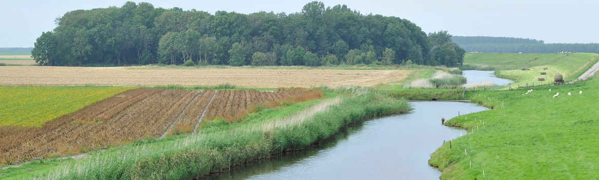 Provincie Groningen: 1 miljoen voor schoner oppervlaktewater en betere landbouwgronden