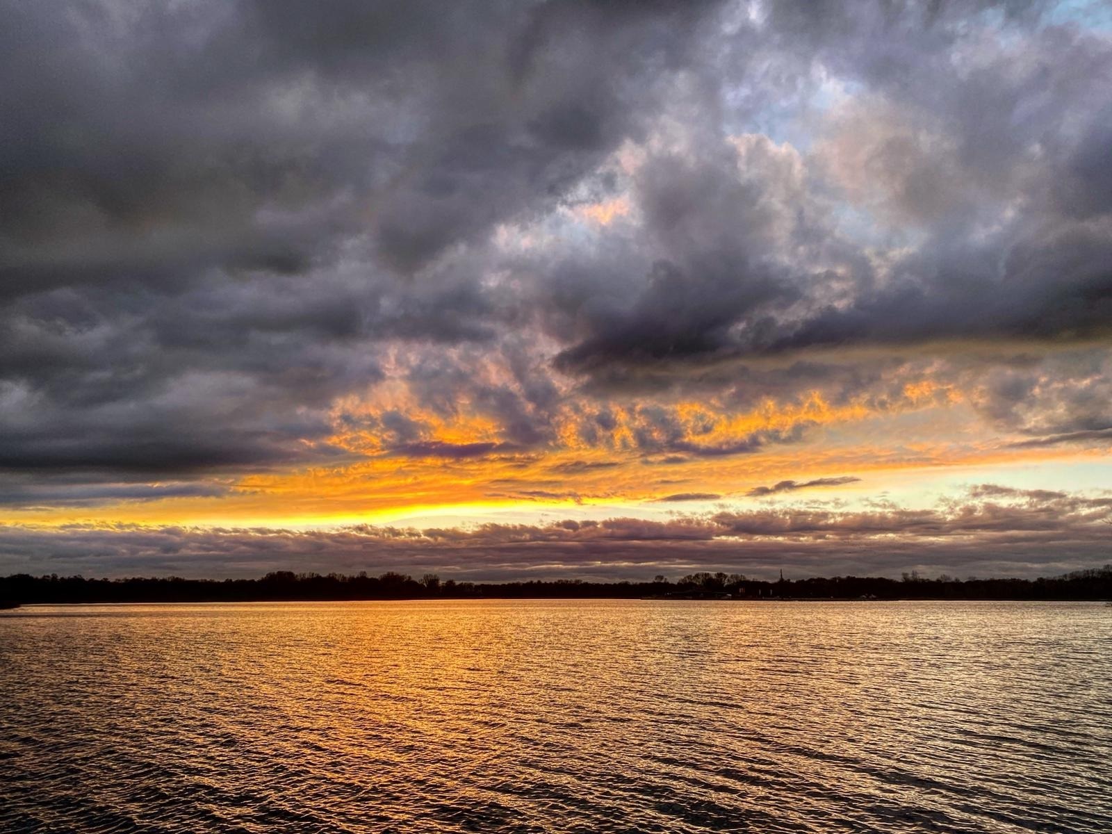 Zin in een frisse duik? Blauwalg bij Paterswoldsemeer