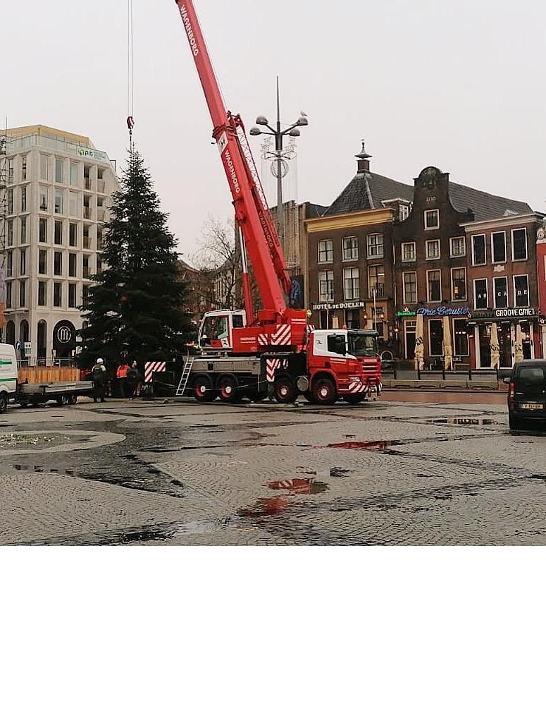 Dit is ‘m dan: de boom die Groningen in Kerstsfeer brengt
