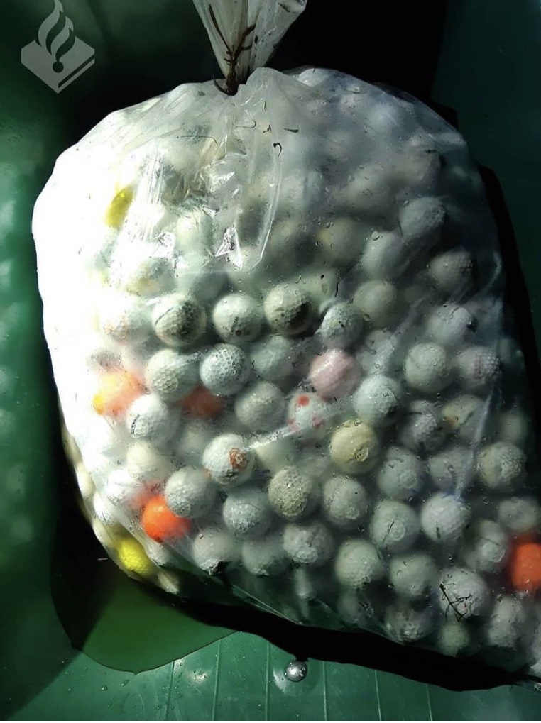 Politiehond haalt golfbaldieven uit vijver