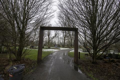 Populieren bij begraafplaats Selwerderhof al grotendeels gekapt