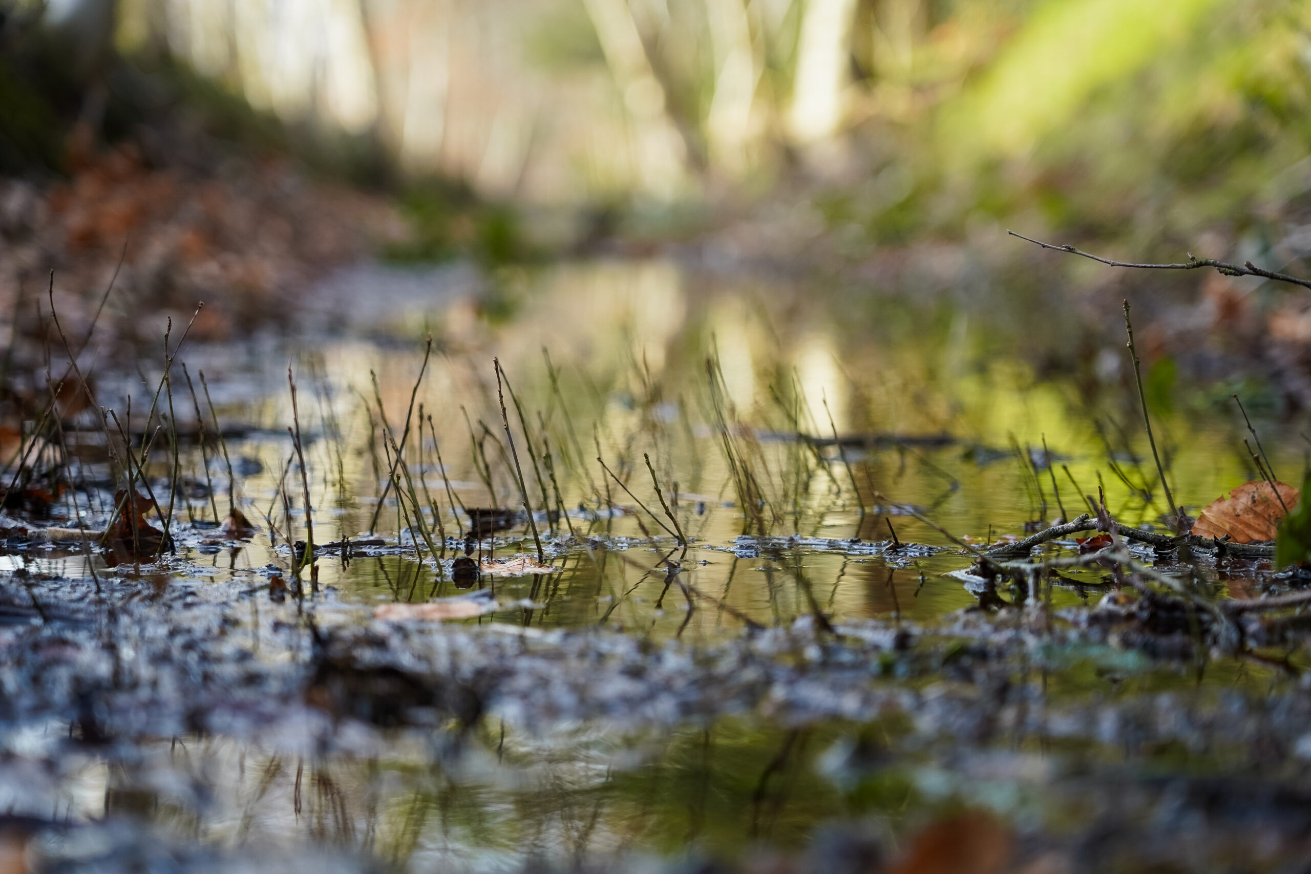 Bij de Fraeylemaborg in Slochteren
