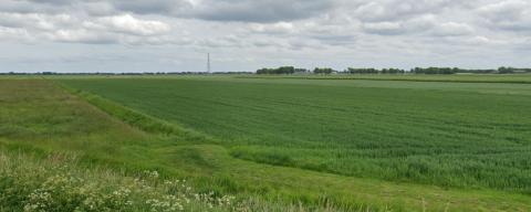 Meerstad-Noord: behalve hyperloop ook zonnepark, met stroom voor 12.000 huishoudens