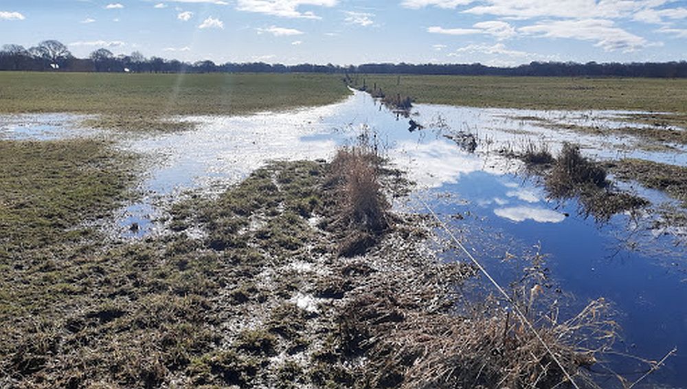 Burgers kopen zelf landbouwgrond bij Groningen om biodiversiteit te verbeteren