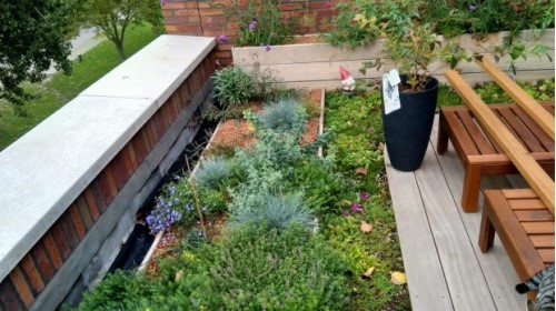 Winactie ‘Klimaatvriendelijk balkon of dakterras in Groningen’