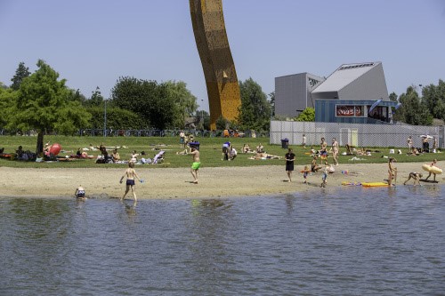 Blauwalg in Kardingerplas