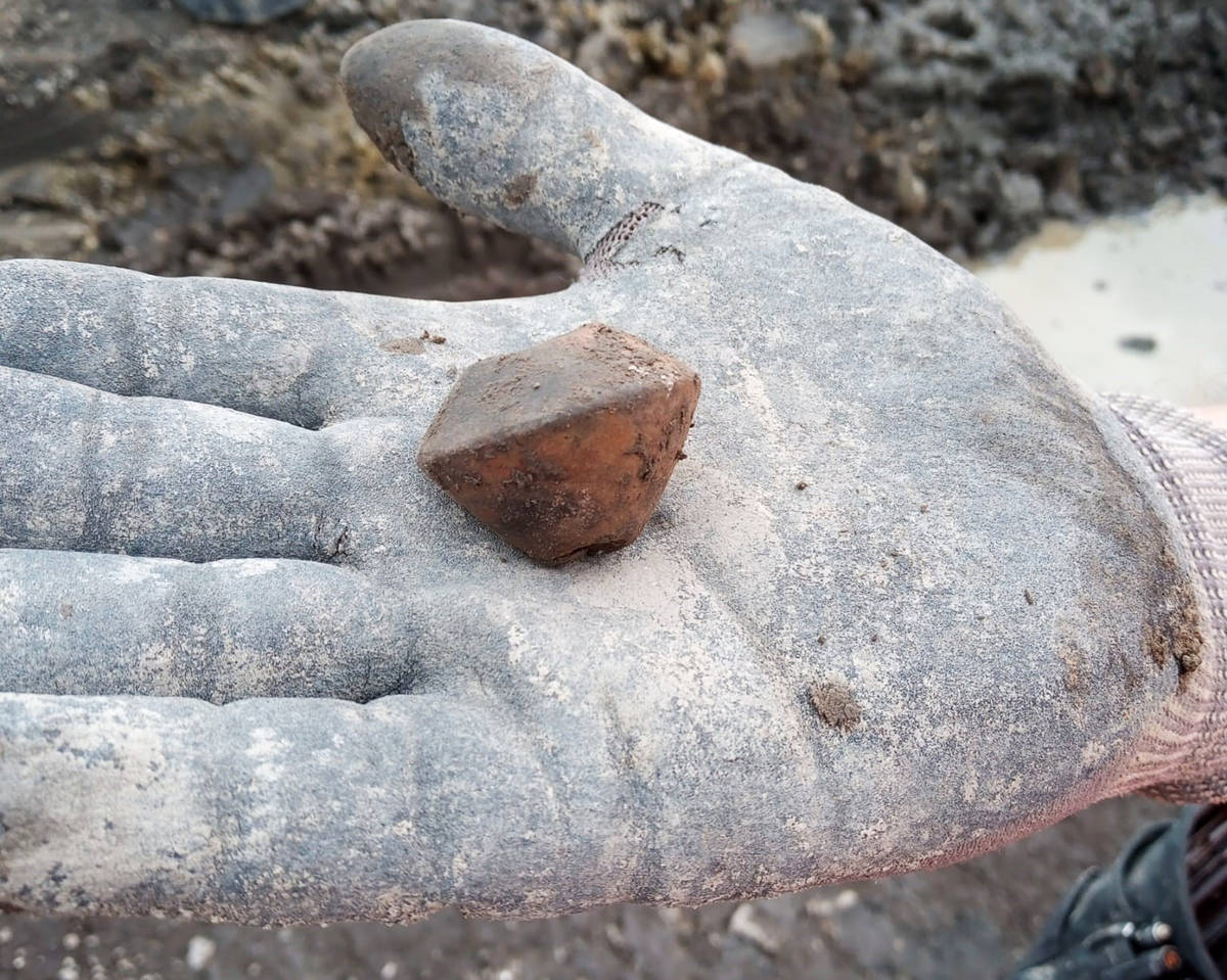 Eerder gevonden spinklos in Adorp