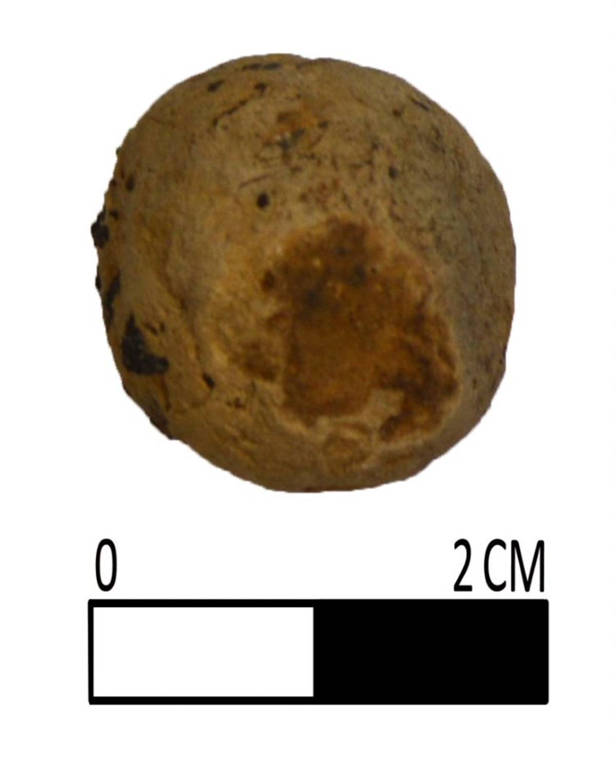 De (roestige) fibula