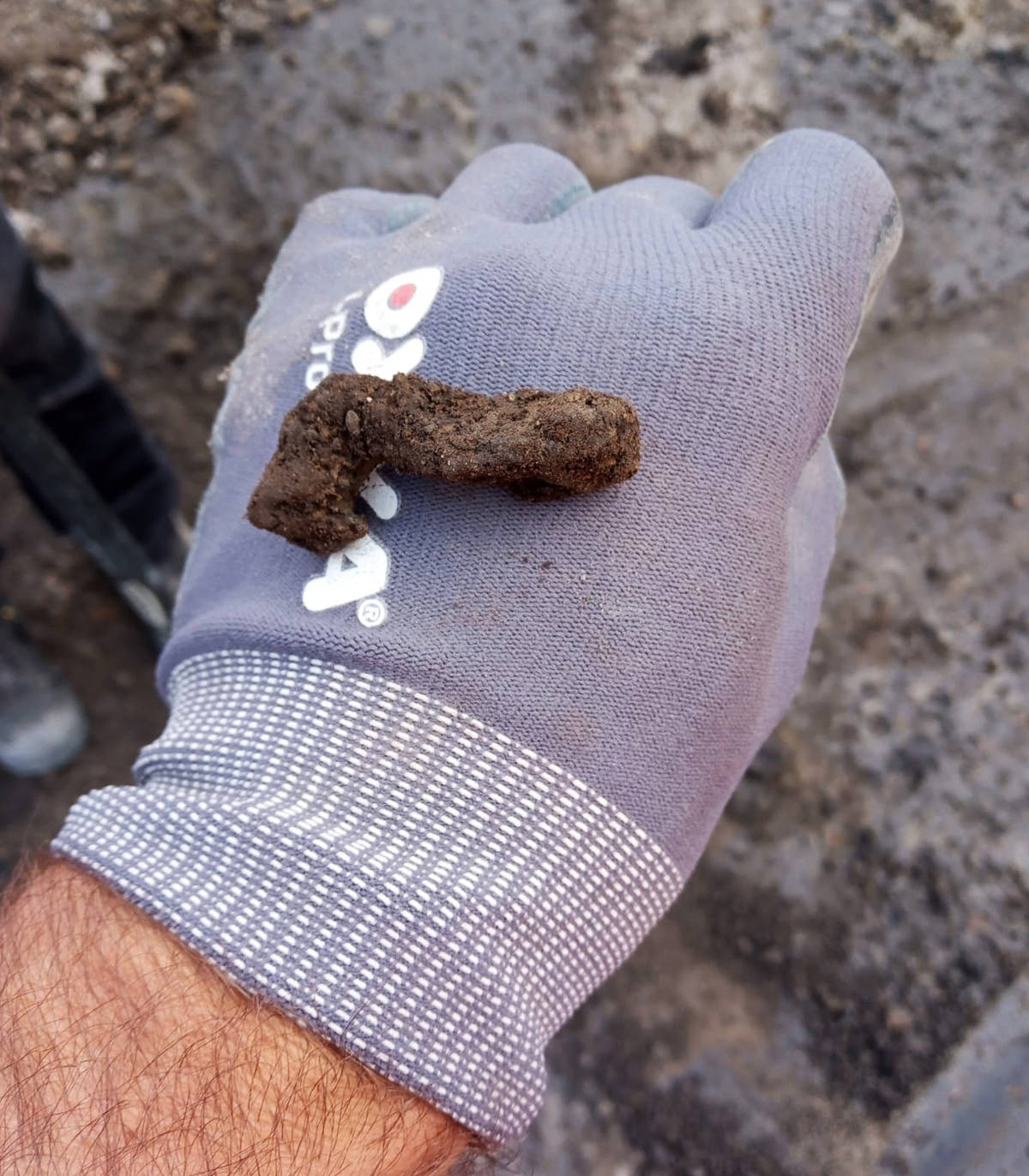 De (roestige) fibula