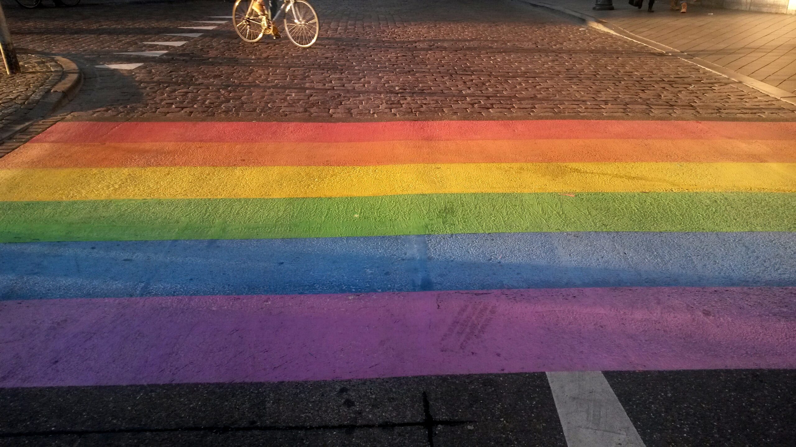 Groningse gemeente Westerkwartier doet aangifte wegens bekladden regenboogzebrapad