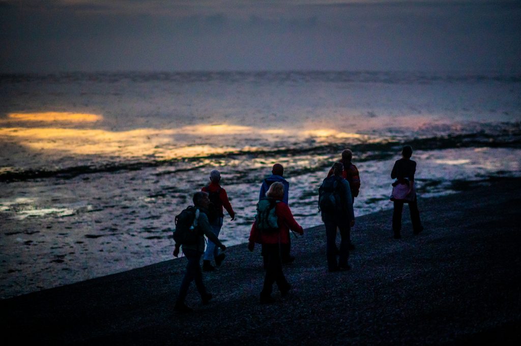 Zaterdag: Nacht van het Wad - activiteiten langs Groningse kust