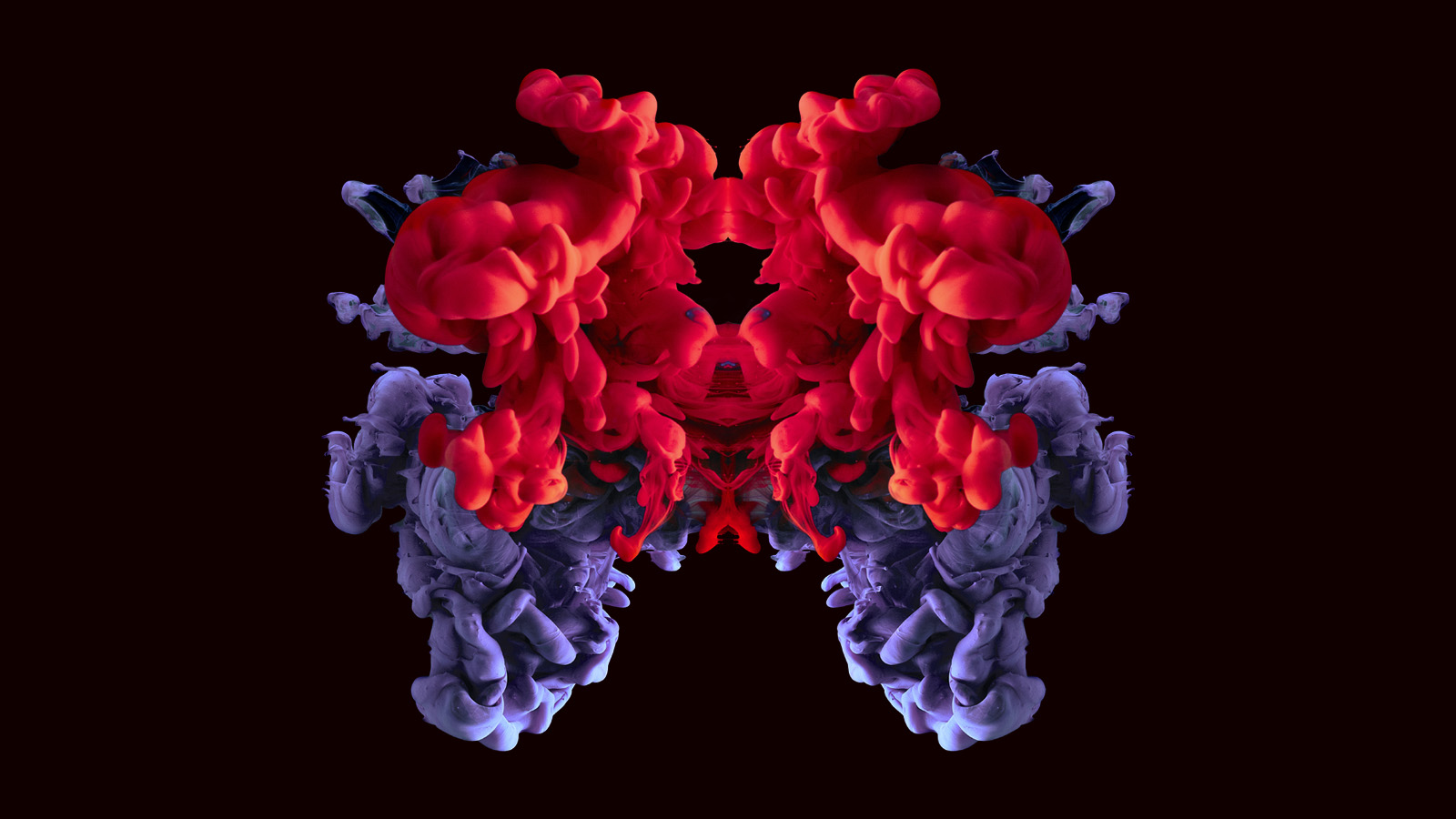 Documentairefestival in Groningen