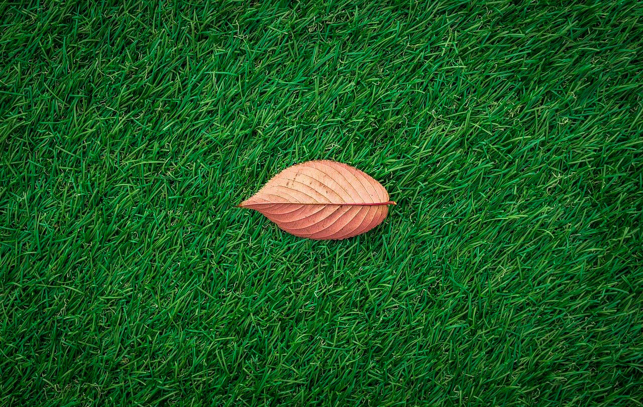 Goedkoop kunstgras kopen: koop kunstgras in het najaar