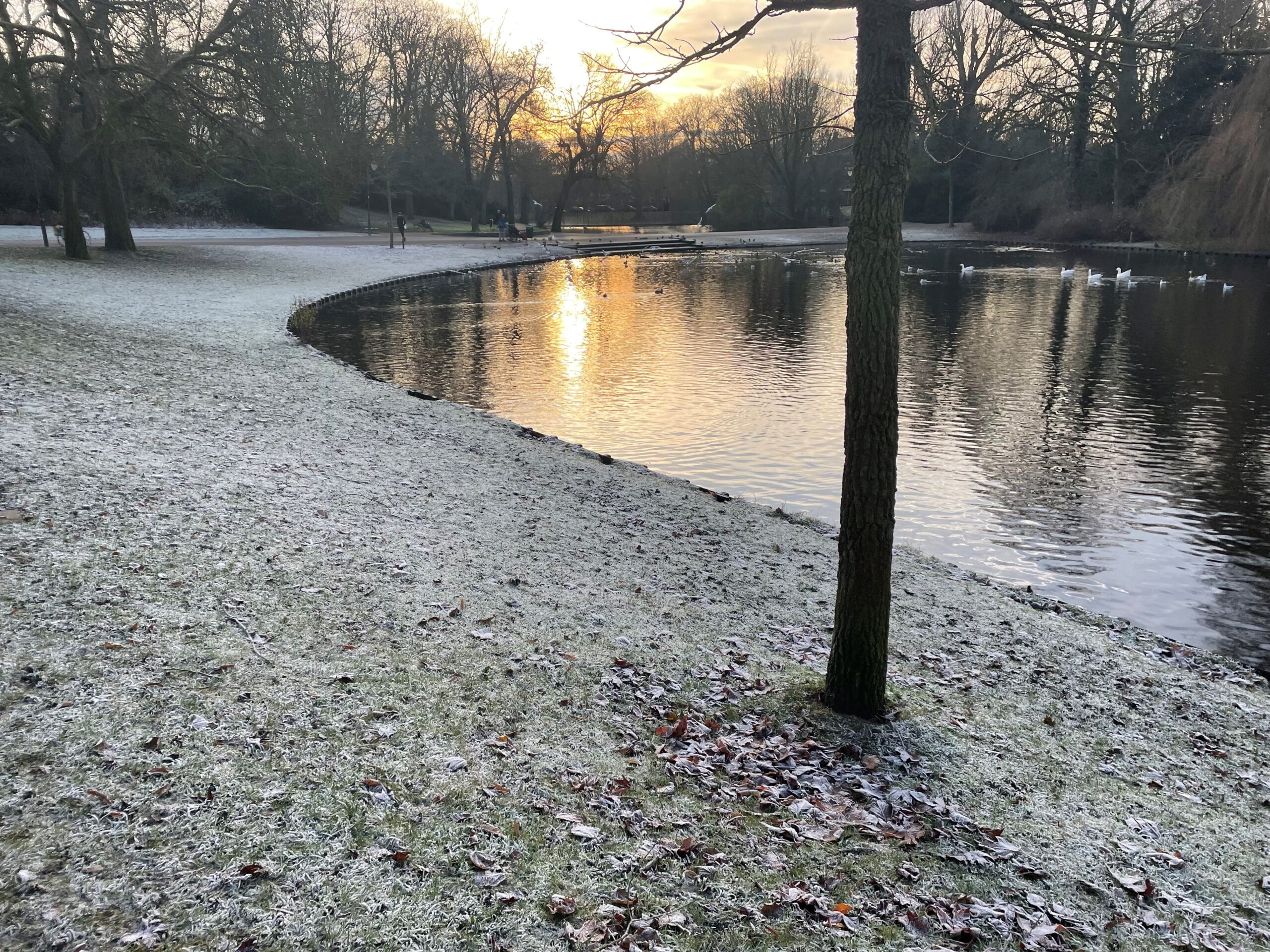 Winters Noorderplantsoen in trek om even op adem te komen