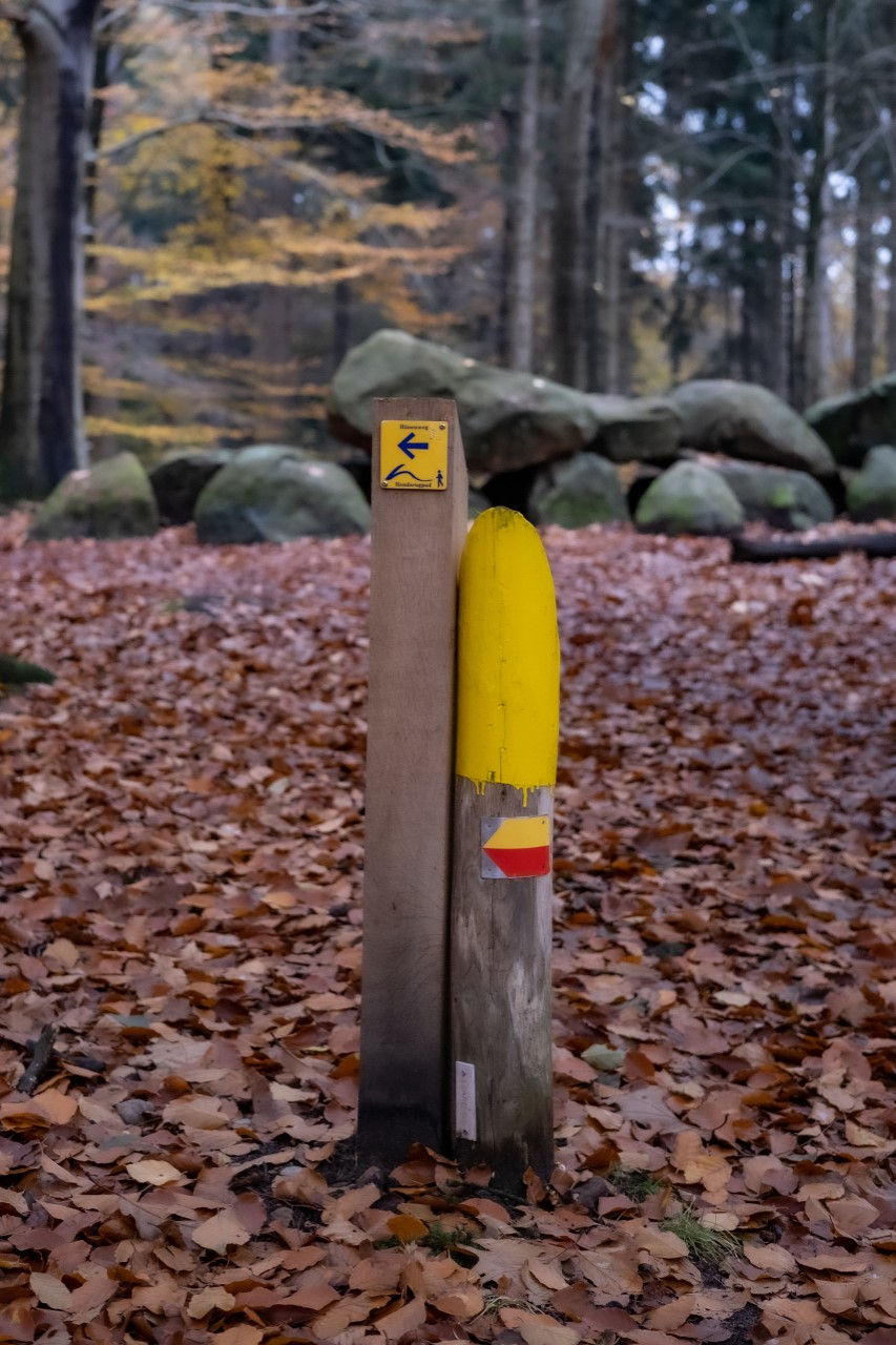 Hondsrugpad uitgeroepen tot Wandelroute van het Jaar