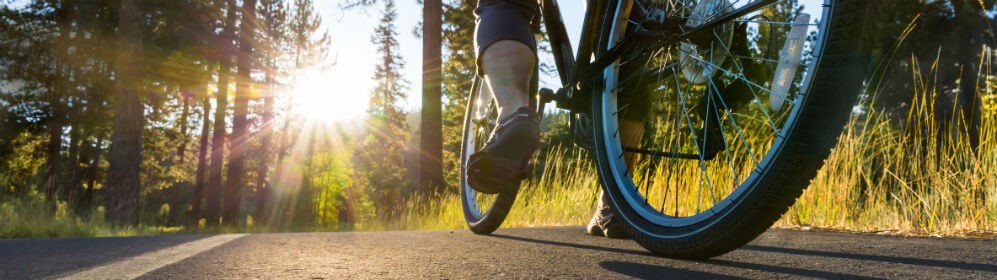 Fiets mee? Het kan bij Flixbus!