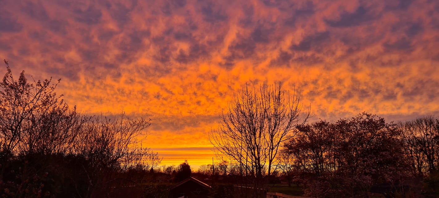 Trientje Spiegelaar-Middel