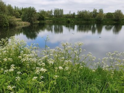 Woningbouw op vloeivelden Suikerzijde Groningen van de baan - collegeakkoord in de maak