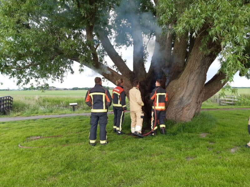 Iconische en stokoude wilg in brand gestoken: politie zoekt getuigen